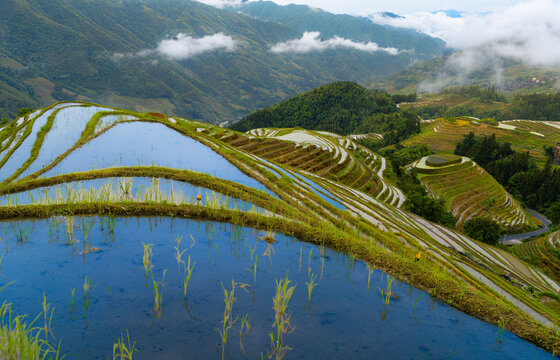 Longji Rice Terraces reflect cloudy spring sky