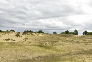 Fototapeta premium Les dunes de l'arrière pays sous un ciel gris à Oostduinkerke (Flandre Occidentale) 