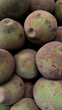 Close up of fresh green sapote fruits stacked together in a market, highlighting organic texture and tropical produce for healthy eating and agriculture concepts