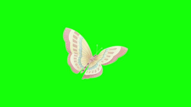 Pink butterfly resting on green background. Delicate insect with translucent wings isolated for design. Nature element for creative projects and br...