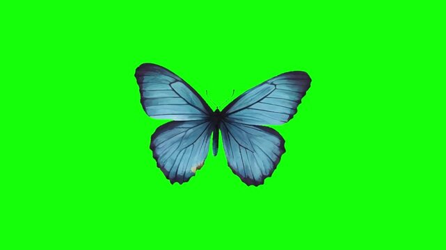 Bright yellow butterfly resting on green leaf. Delicate insect with vibrant wings perched on foliage. Nature symbol for transformation and beauty i...