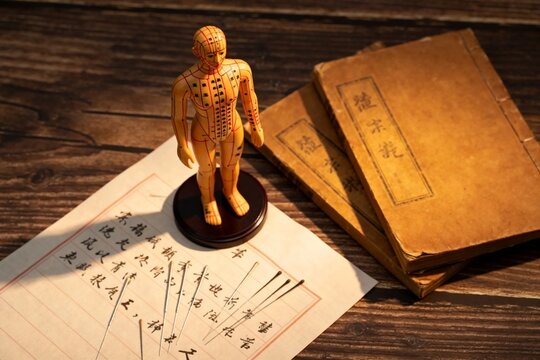 Acupuncture model with meridian charts and traditional medical books