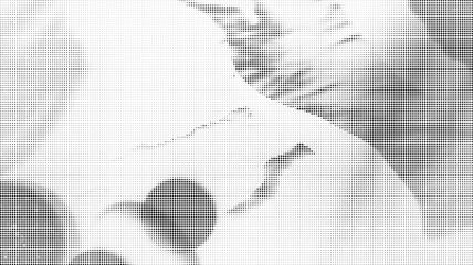 Fototapeta premium Halftone pattern with gradient effect in shades of gray