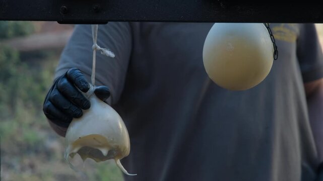 Cheesemaker preparing traditional Caciocavallo cheese in Salerno