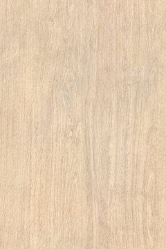 Light wood seamless texture background. Natural wooden tileable woodgrain pattern.