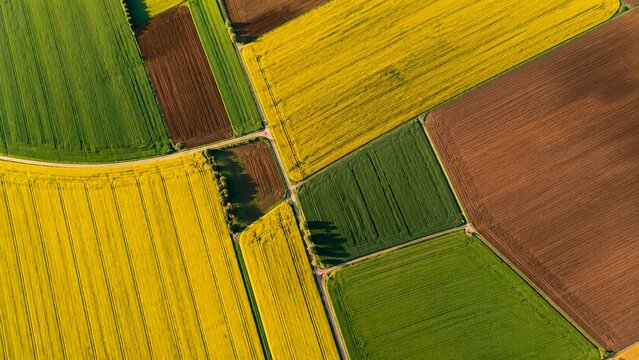 Drone top-down view showing a geometric patchwork of different colorful agricultural crop fields