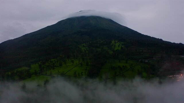 a view of tambi tea garden with a mountain view