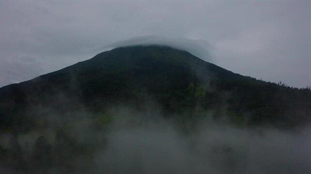 a view of tambi tea garden with a mountain view