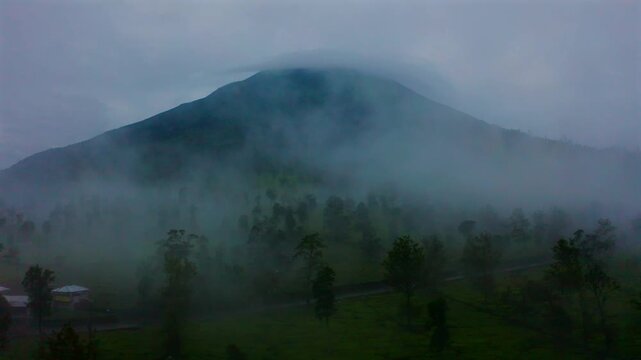 a view of tambi tea garden with a mountain view
