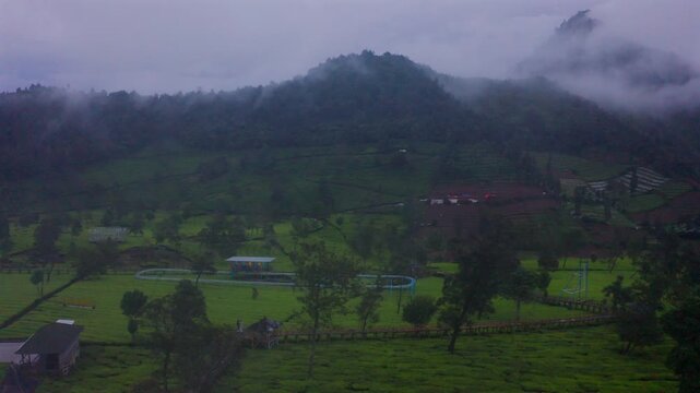 a view of tambi tea garden with a mountain view