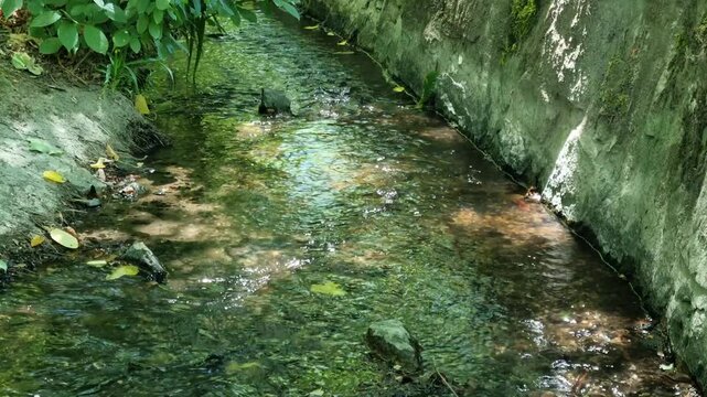 Wiesbaden, Hesse, Germany: Clear stream flowing through concrete channel surrounded by green vegetation in natural urban environment