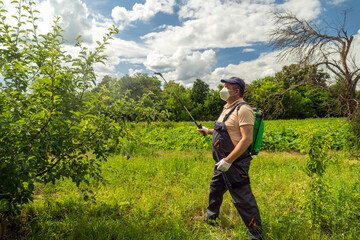 Fototapeta premium A person holds a sprayer while working in a field. The sun shines overhead with some clouds in the sky. Green plants grow around the area