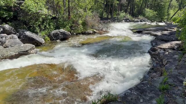Bear Creek cascades into a clear pool in the Bitterroot Mountains of Western Montana. 