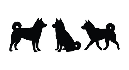 Three husky dog silhouettes in various poses against a white background silhouette dogs canine canines © Mama
