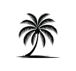 Fototapeta premium Silhouette of a Tropical Palm Tree on an Island: A solitary palm tree stands tall against a dramatic sky, its fronds casting long shadows as it evokes a sense of tropical paradise and serene escapism.