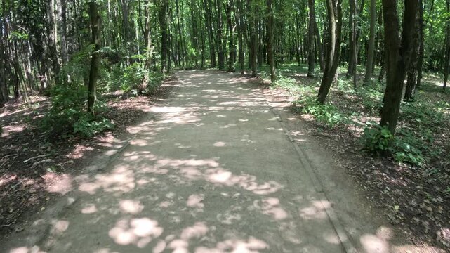 Park path with slow motion camera