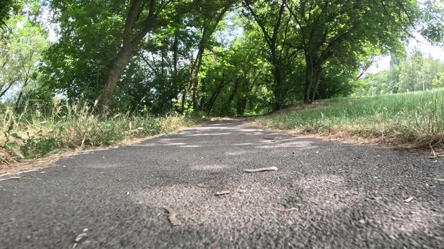 Park foot path, low camera angle video