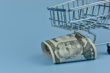 Mini shopping cart holds crumpled bills © Nazir