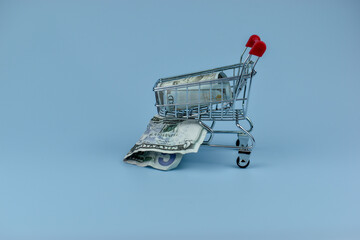 Mini shopping cart holds crumpled bills © Nazir
