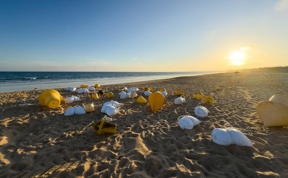 buoys with weights on the ocean shore