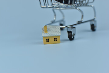 Mini shopping cart holds magnifying glass © Nazir
