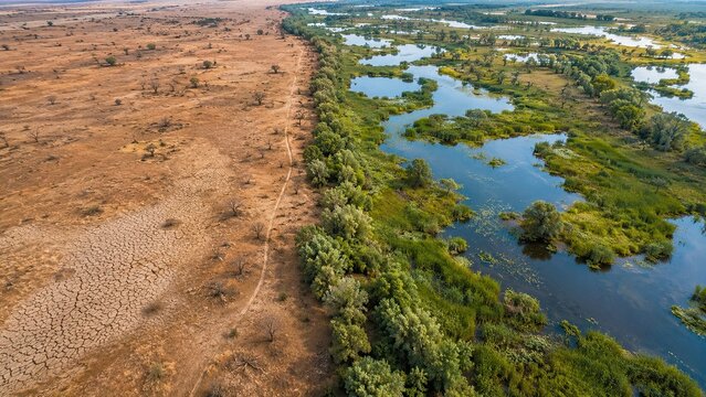 Aerial view of contrasting dry land and restored wetland