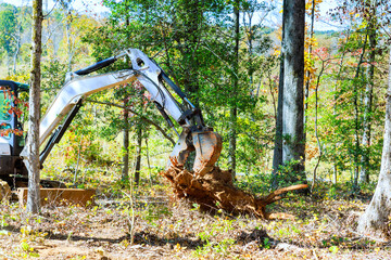 Backhoe works on removes large root in wooded area forested location © ungvar