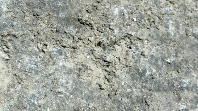 Closeup view of textured gray concrete surface with rough patches and subtle color variations