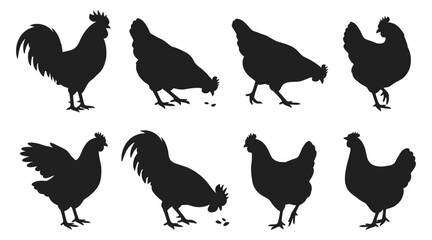 Set of chicken silhouettes collection of farm birds in various poses, including roosters and hens standing, walking, and pecking at seeds © MstSuma