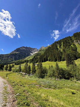 landscape in the mountains