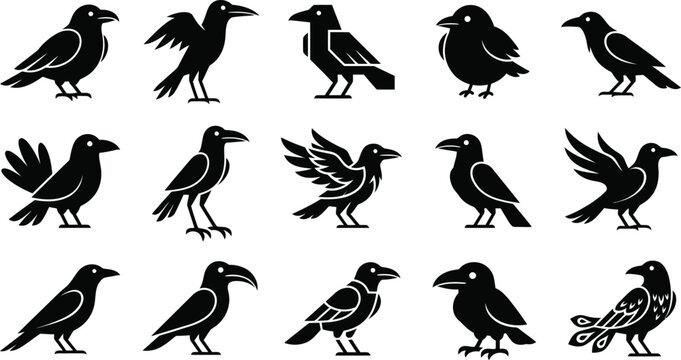 black silhouette crows and ravens birds on white background for halloween or gothic design
