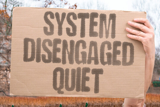 "System Disengaged Quiet" Autopilot cut off without loud warning. DISENGAGE. QUIET. AUTOPILOT. CUT. OFF.