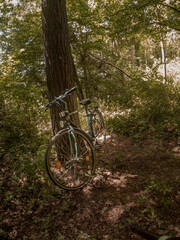 Fototapeta premium Bicicleta en el bosque