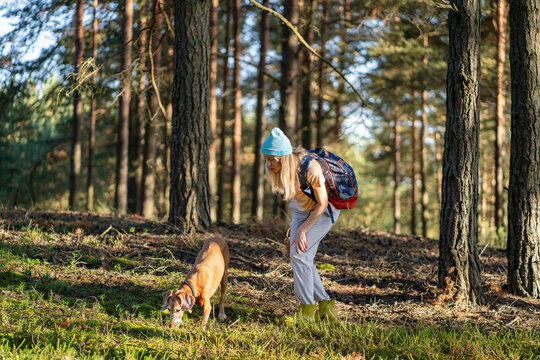 Curious woman forager hiker and dog hunting together in forest for truffles and porcini mushrooms, pet helping female backpacker harvester to find edibles in woodlands, outdoor activity with pet.