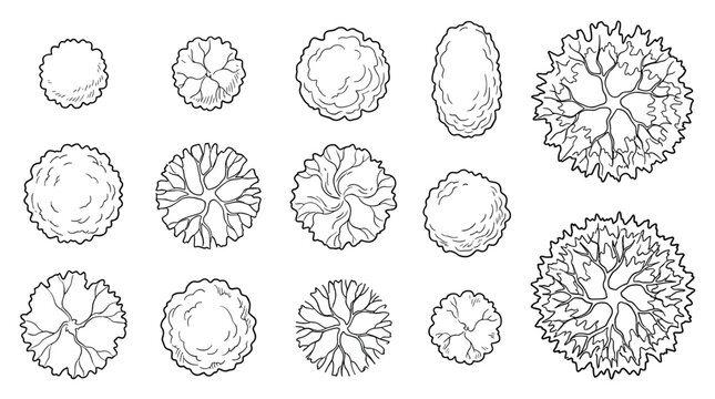Selection of hand drawn tree and shrub symbols for architecture site plans and landscape design including various circular canopy shapes for urban planning.