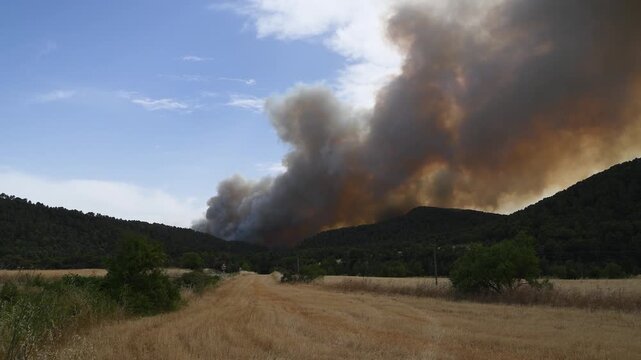 Intense flames from a wildfire in Aragon forest, Spain - Extreme Wildfire Smoke Over Spanish Countryside During Heatwave