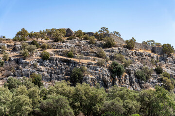 Fototapeta premium Ancient Roman ruins and stone aqueduct in Phaselis antique city, historical archaeological site remains with pine forest landscape and sunlight in Antalya, Turkey for travel and history concept