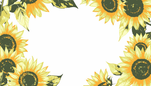 Dense yellow sunflower border with green foliage