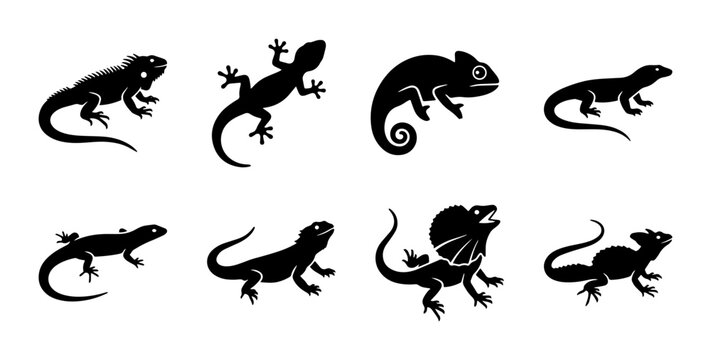 8 Silhouette Reptile Icons, Flat, for Wildlife and Nature Design