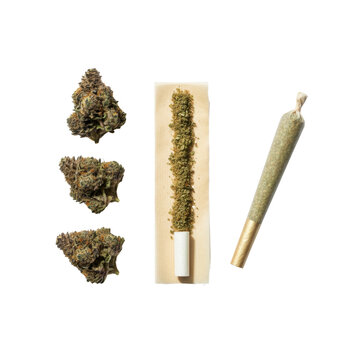 Three cannabis flower buds with purple hues, a rolling paper with ground herbs, and a rolled joint on a transparent background, professional botanical display
