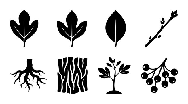 Nature Icons Set: Leaves, Roots, Tree, Branch, Bark, Berries, Silhouette Style