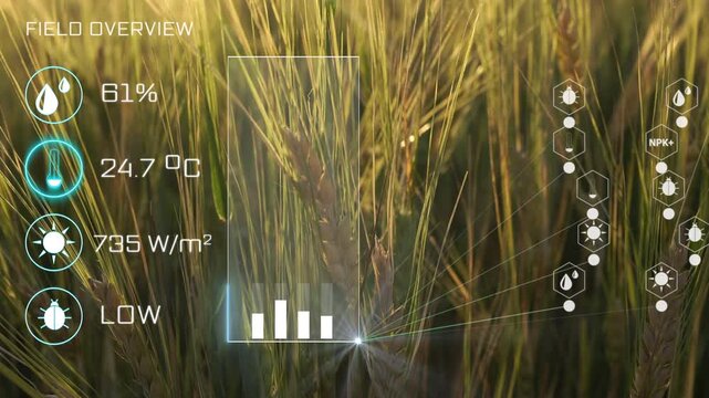 Smart AI monitoring wheat field technology, smart farming interface icons. Smart and new technology for agriculture business concept