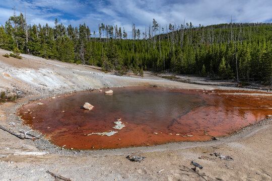 Rust-Red Thermal Pool of Echinus Geyser, Norris Geyser Basin, Yellowstone National Park, Wyoming, USA