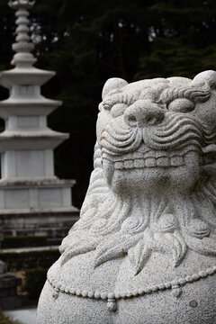 Stone lion statue haetae and pagoda close up at traditional temple in south korea.