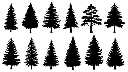 Fototapeta premium Collection of various pine tree silhouettes.