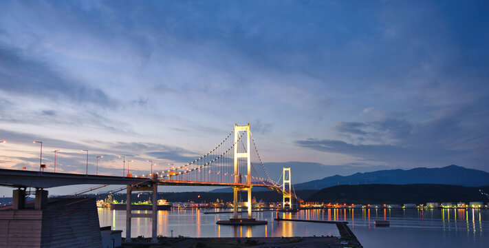 夕空に浮かぶ白鳥の翼