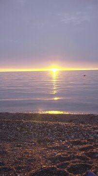 Vertical shot of beautiful golden sunrise over calm ocean with birds flying by pebble beach