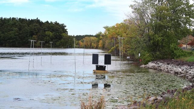 Carp capture nets on lake to remove invasive carp in the lake