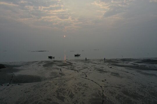 Very Low Aerial of Xiamen Tidal Flat Textures in March