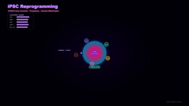 This scientific animation of CRISPR Gene Therapy illustrates the complex cellular reprogramming process where somatic cells transform into induced pluripotent stem cells with glowing markers.
